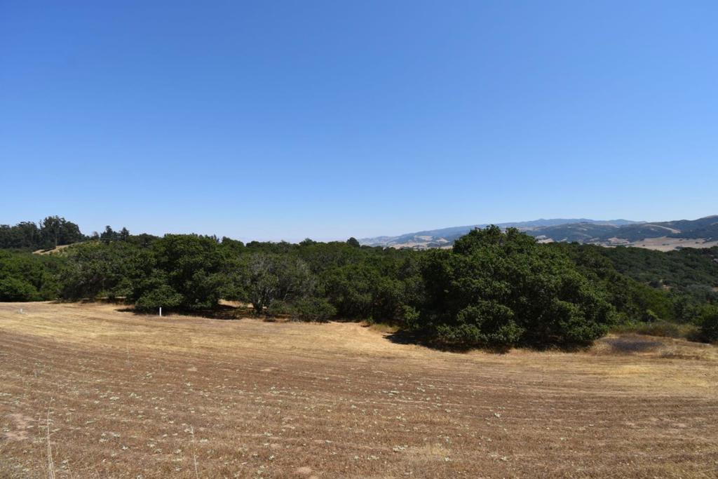 MLS #ML81994433 image #33