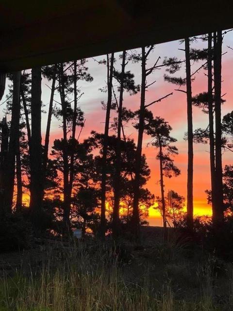 250 Forest Ridge Road, Monterey CA: https://media.crmls.org/mediaz/fb68c677-c793-418c-800e-f20d00ff9fdc.jpg