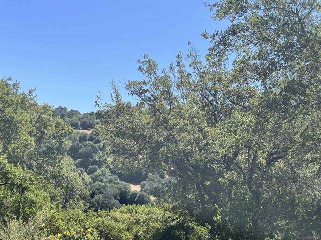 3890 Eagle Ridge, Julian CA: https://media.crmls.org/mediaz/fb81ce5e-a8bd-4d5f-8cf5-13ef5844d8d7.jpg