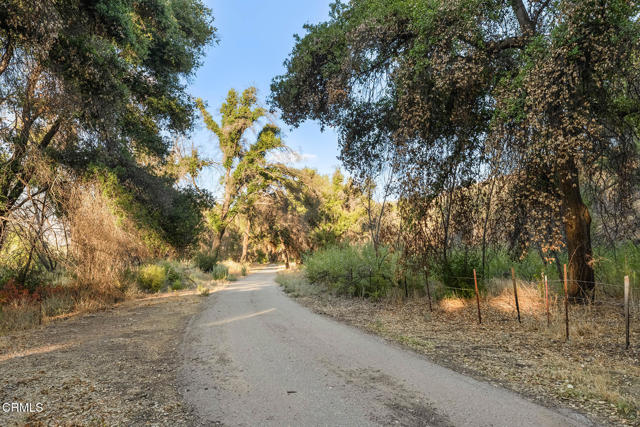 Detail Gallery Image 64 of 72 For 2170 Aliso Park Rd, –,  CA 93254 - 2 Beds | 2 Baths
