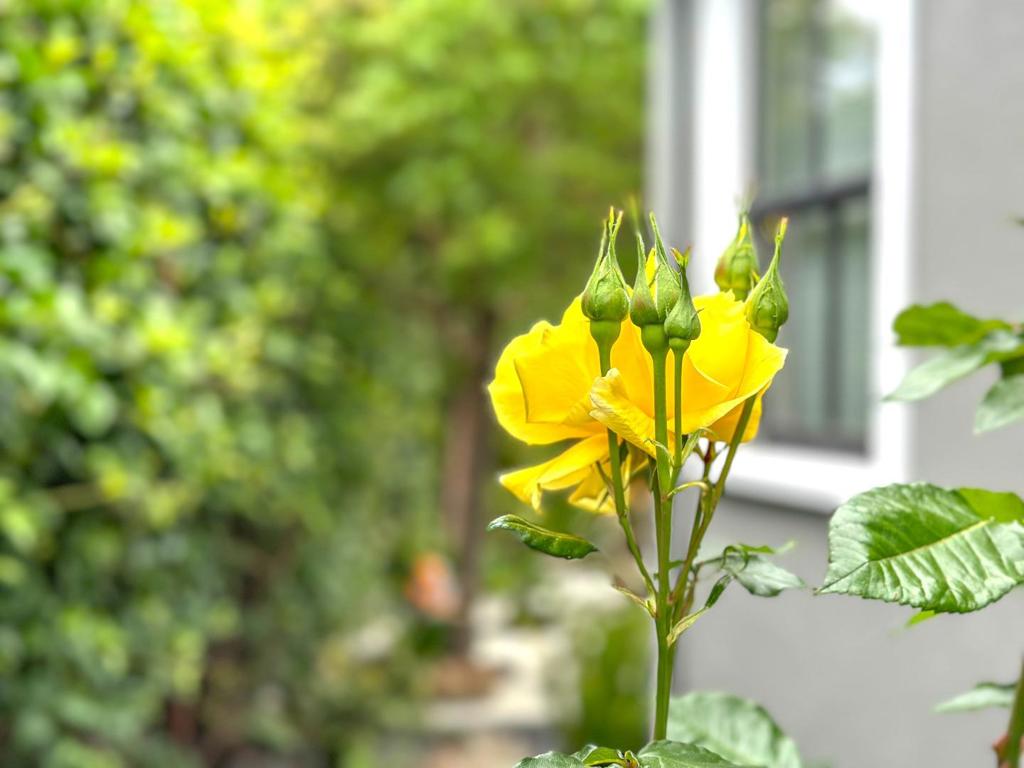 https://media.crmls.org/mediaz/fb8381ef-6802-4fc8-9a19-6b481823e80c.jpg?preset=X-Large