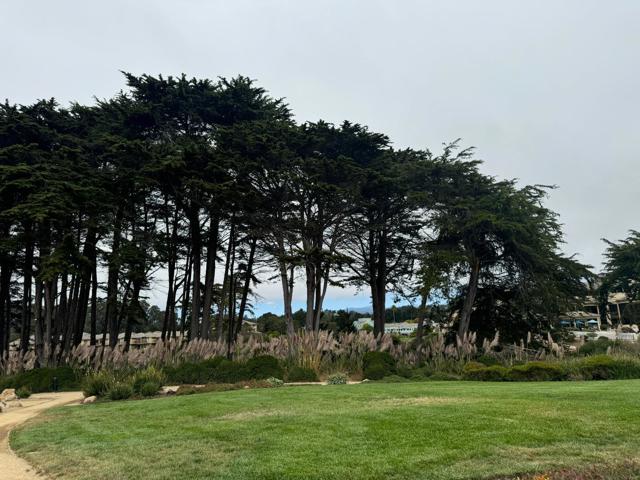 522 Seascape Resort Drive, Aptos CA: https://media.crmls.org/mediaz/fb930a80-63de-4af3-b38e-f9e582230559.jpg