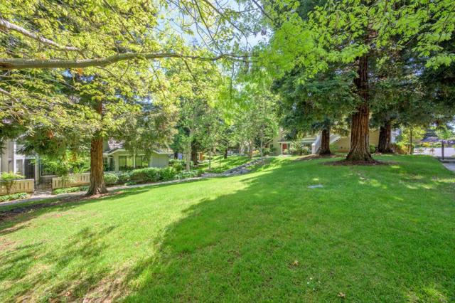 2624 Yerba Vista Court, San Jose CA: https://media.crmls.org/mediaz/fba1334c-0800-491f-b9e9-8347890743eb.jpg