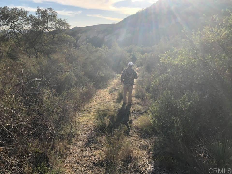 MLS #NDP2403618 image #14