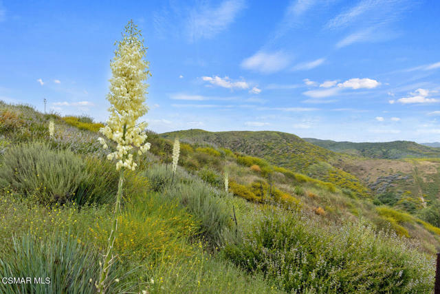 3166 Sycamore Drive, Simi Valley CA: https://media.crmls.org/mediaz/fbaca48a-824e-4e68-82f1-ef424a41a2be.jpg