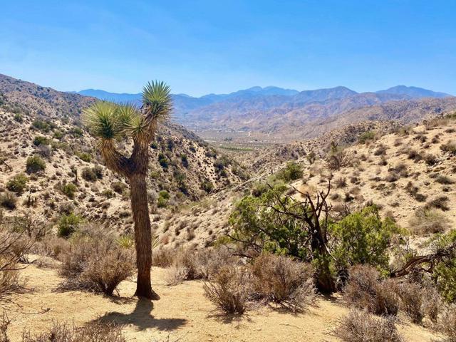 120 Benmar Trail, Morongo Valley CA: https://media.crmls.org/mediaz/fbb085bd-459c-4c42-82f3-1e907fcd3642.jpg