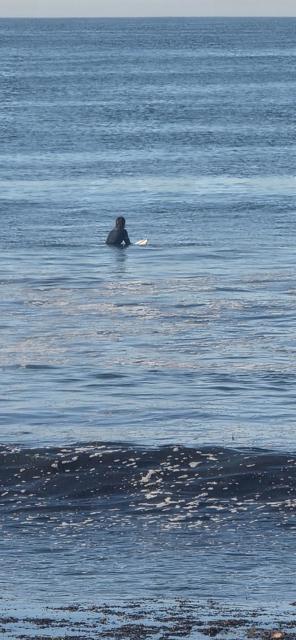 Image 3 of 11 For 1730 Avenida Del Mundo  610