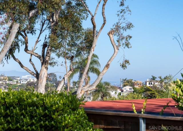 3733 La Cresta Dr, San Diego CA: https://media.crmls.org/mediaz/fbcb5f53-9f52-4d93-b7d4-72f7ab287aa5.jpg