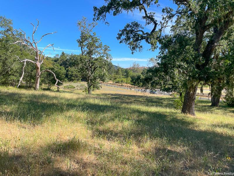 MLS #ML81896622 image #13