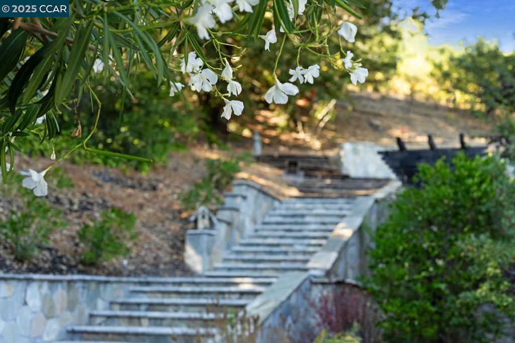 https://media.crmls.org/mediaz/fbd051bc-664a-4d77-a44b-fd1921879147.jpg?preset=X-Large