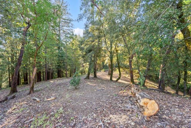0 Allen, Woodside CA: https://media.crmls.org/mediaz/fbd207db-509a-4428-bc9e-d11732471ff4.jpg