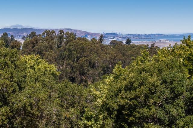 0 Eugenia, Hillsborough CA: https://media.crmls.org/mediaz/fbd25d9a-4095-4ccd-bf30-2b005b25455a.jpg