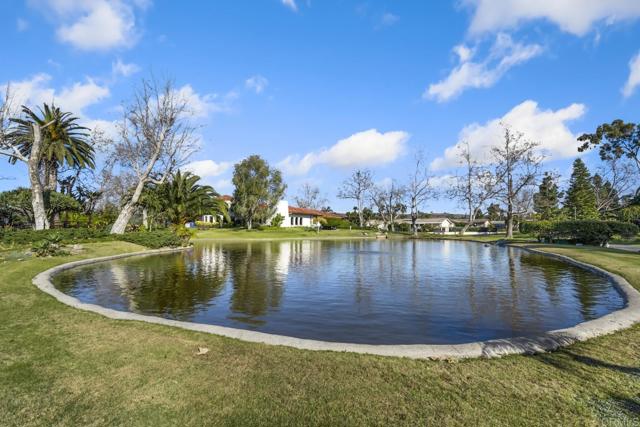 Detail Gallery Image 44 of 53 For 3446 Don Carlos Dr, Carlsbad,  CA 92010 - 3 Beds | 2 Baths