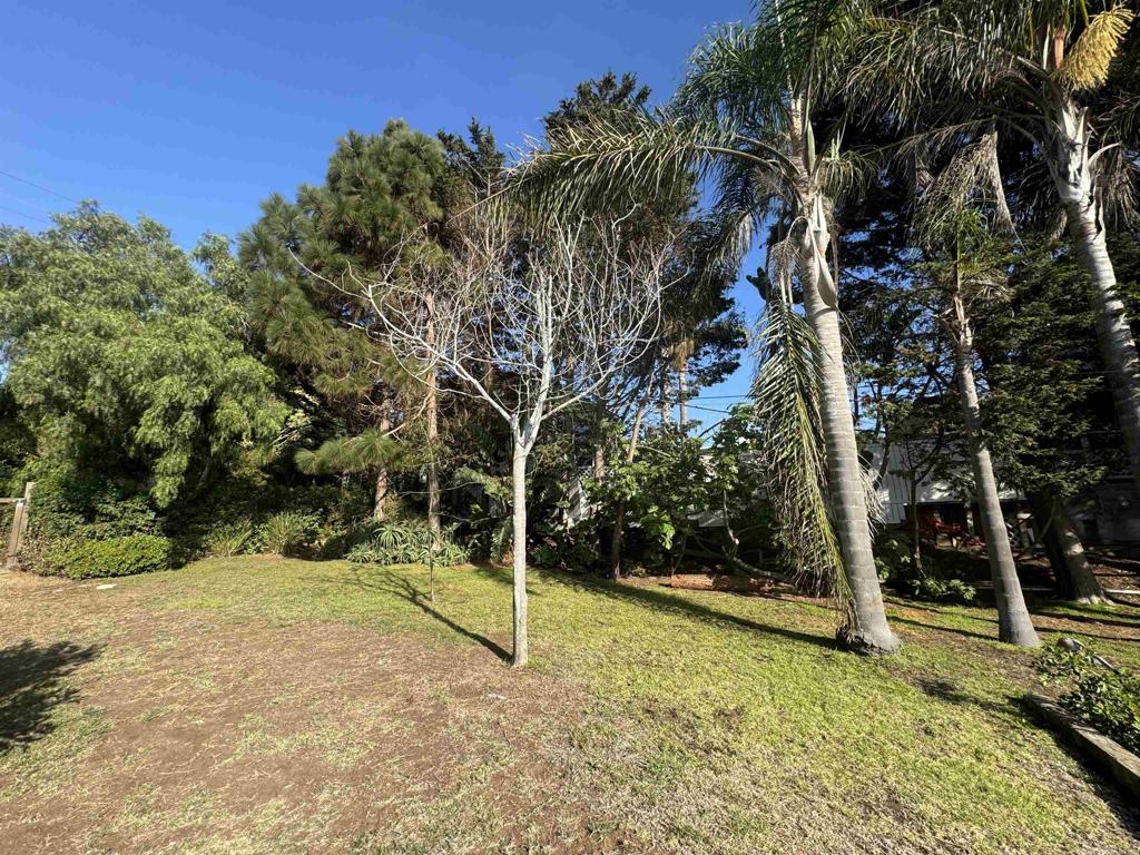 4444 Orchard Ave - photo 10