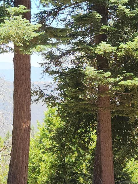 0 Conifer Lane, Palomar Mountain CA: https://media.crmls.org/mediaz/fc003296-78b3-4195-a031-1f211d0c4afb.jpg