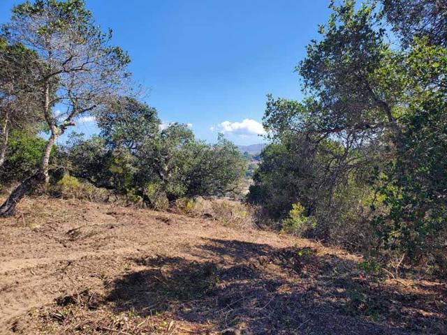 19705 Moonglow Road, Salinas CA: https://media.crmls.org/mediaz/fc01e725-3205-4e8a-bd26-3e55fa9807ed.jpg