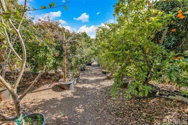 2081 Elevado Road, Vista CA: https://media.crmls.org/mediaz/fc0d0443-7199-4032-9ded-791ee653793b.jpg