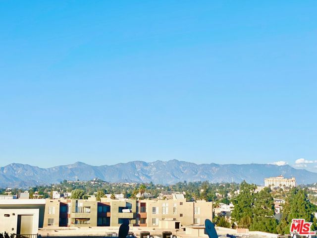 View from the Roofdeck