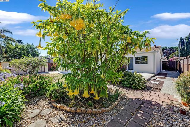 1942 Sherman Dr, Union City CA: https://media.crmls.org/mediaz/fc104eae-5971-4a2f-b2e9-e8f29c89e303.jpg