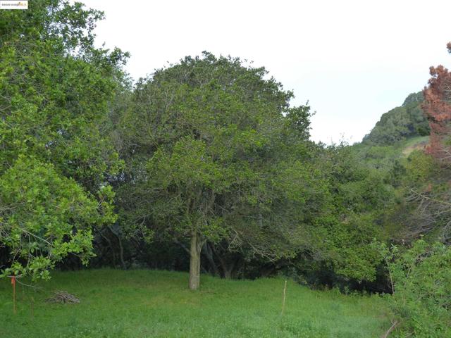 11275 Kerrigan Dr, Oakland CA: https://media.crmls.org/mediaz/fc16072f-4411-4741-8124-250b10b28b01.jpg