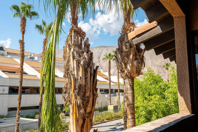 291 E Mel Avenue, Palm Springs CA: https://media.crmls.org/mediaz/fc167a35-12d6-443b-b7d8-030e86487678.jpg