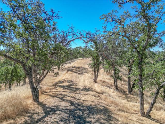 0 Wood Duck Pass Road, Red Bluff CA: https://media.crmls.org/mediaz/fc1926f1-748e-4538-9299-16bcbfb2fc30.jpg