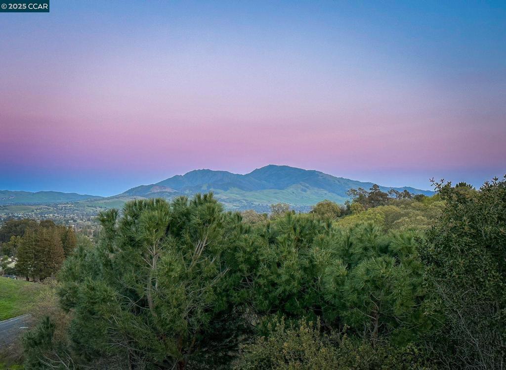 https://media.crmls.org/mediaz/fc26aa6b-702d-4845-8bf5-677c081f515f.jpg?preset=X-Large