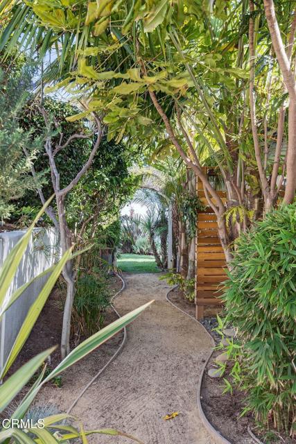 Detail Gallery Image 51 of 73 For 258 N Linda Vista Ave, Ventura,  CA 93001 - 3 Beds | 2 Baths