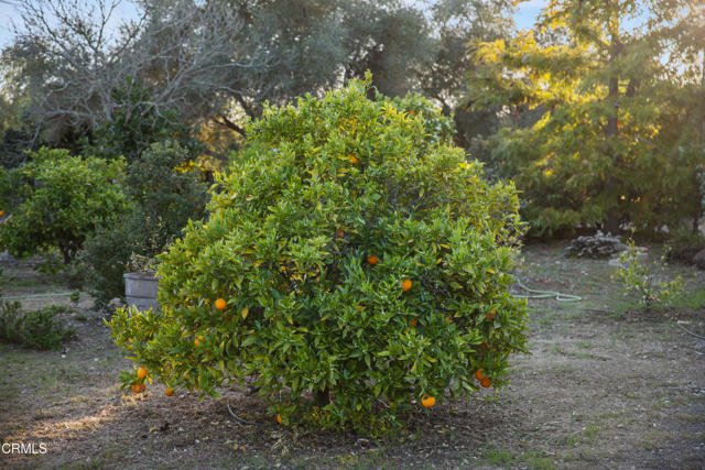 1270 Dove Meadow Road, Solvang CA: https://media.crmls.org/mediaz/fc2e25ae-4de7-463d-a104-e3bf4fd0ecd5.jpg