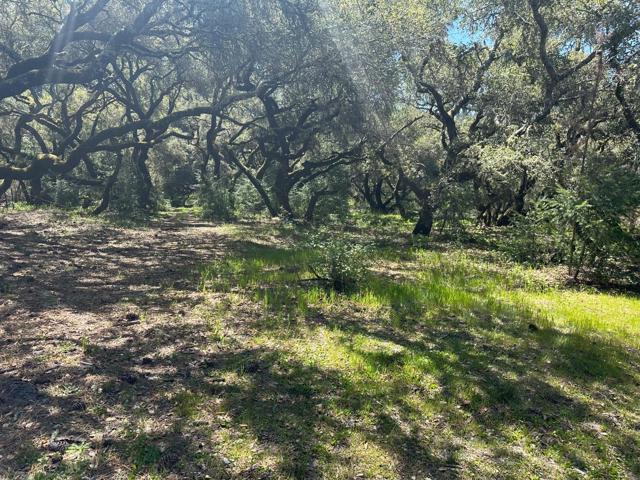 0 Hidden Glen Drive, Scotts Valley CA: https://media.crmls.org/mediaz/fc32f63c-b2e2-41ac-9bad-01d26c9577da.jpg