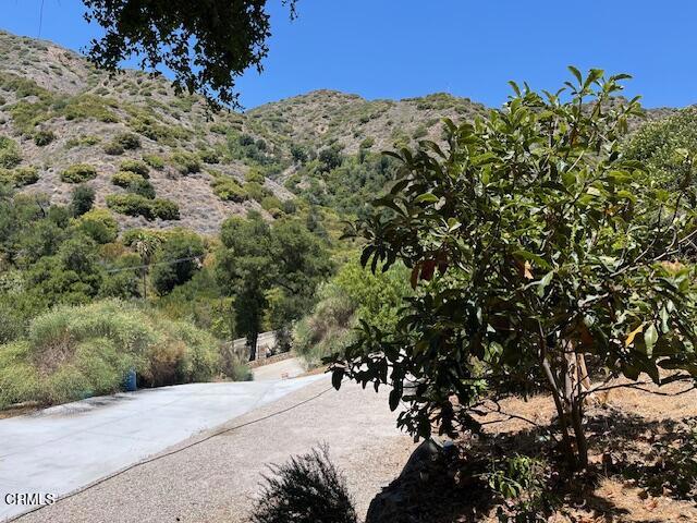 Detail Gallery Image 16 of 23 For 16840 Maricopa Hwy, Ojai,  CA 93023 - – Beds | – Baths