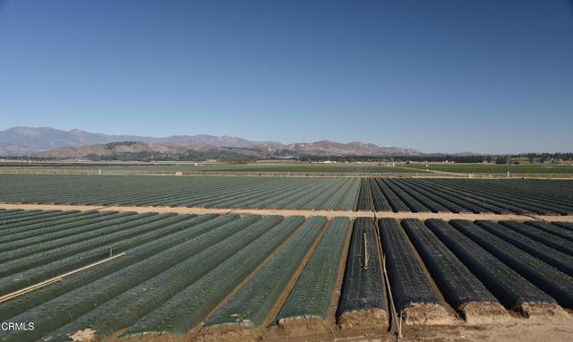 323 + Acs Santa Clara & Central Avenues, Oxnard CA: https://media.crmls.org/mediaz/fc42cf08-84cd-4631-98e3-b04b8d7c78c6.jpg