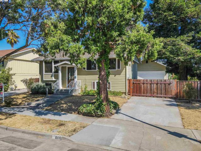 Image 17 of 52 For 4636 Serra Ave