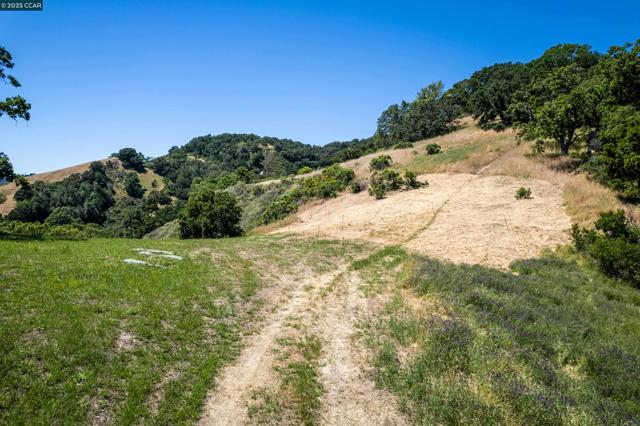 0 Monticello Rd., Lafayette CA: https://media.crmls.org/mediaz/fc5092cb-8088-4e45-b15d-82d10fc98315.jpg