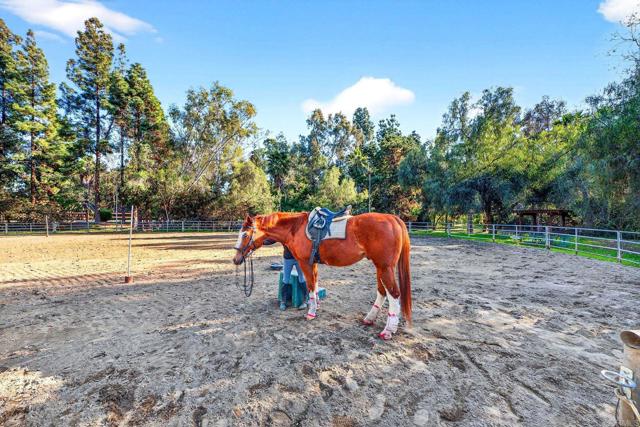 Image 17 of 29 For 916 Mimosa  