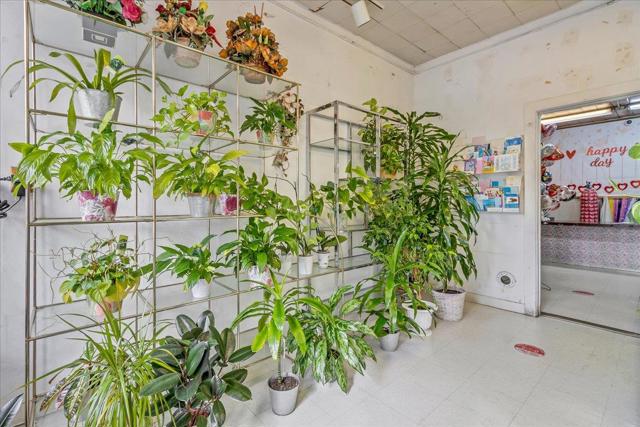 915 E Julian Street, San Jose CA: https://media.crmls.org/mediaz/fc6bc03e-682c-40a3-a859-e8127f71bdd1.jpg