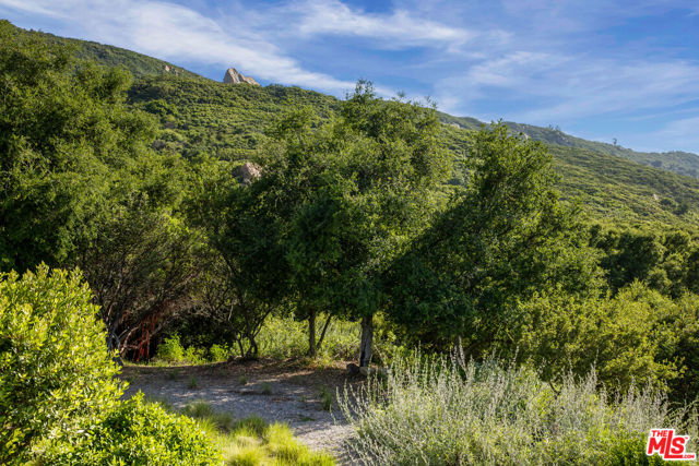 475 Stunt Road, Calabasas CA: https://media.crmls.org/mediaz/fc6e6014-a92b-420c-b31a-69417facc2e8.jpg