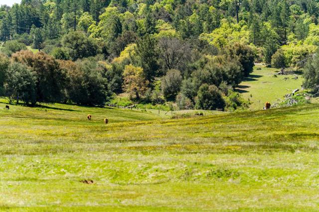 3510 Deer Lake Park Road, Julian CA: https://media.crmls.org/mediaz/fc757d78-48be-41b0-b6cf-e5dae16d3b8a.jpg