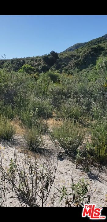 0 Stonyvale, Tujunga CA: https://media.crmls.org/mediaz/fc783fe0-cce2-4f0b-90aa-bb3b185b40e0.jpg