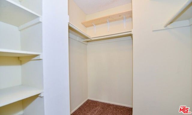 6456 Cavalleri Road photo 20