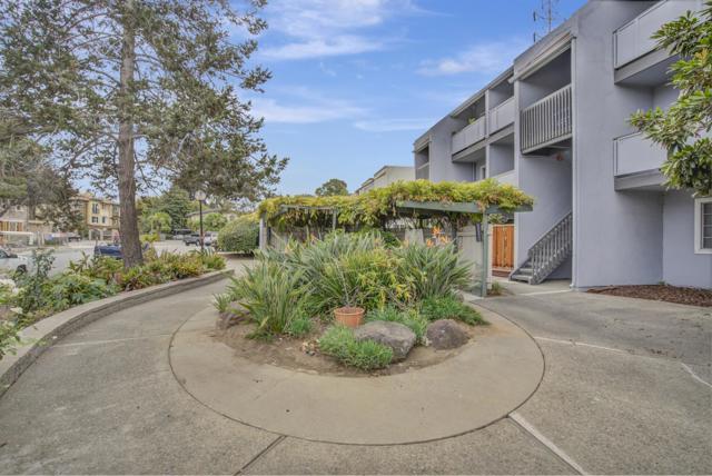 650 Alamo Court, Mountain View CA: https://media.crmls.org/mediaz/fc81514a-f6cc-4340-a4e7-b0cfa1cf449e.jpg