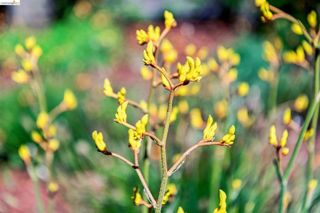 https://media.crmls.org/mediaz/fc8446a6-ba26-40be-800a-42ff23308b1e.jpg?preset=X-Large