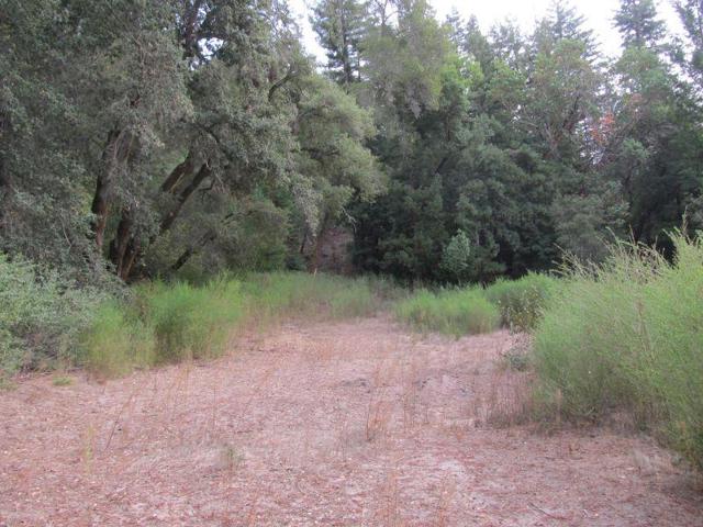 0 E Hilton, Boulder Creek CA: https://media.crmls.org/mediaz/fc8bd64a-5a39-4428-993f-bda3639ee376.jpg