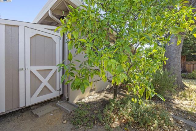 4580 Theresa Ave, Fremont CA: https://media.crmls.org/mediaz/fc9c9e96-d77a-43d0-802d-cfcb26bd33e2.jpg