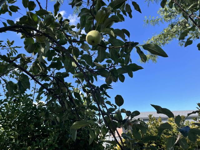 Detail Gallery Image 20 of 22 For 1537 H Street #35,  Ramona,  CA 92065 - 3 Beds | 2 Baths