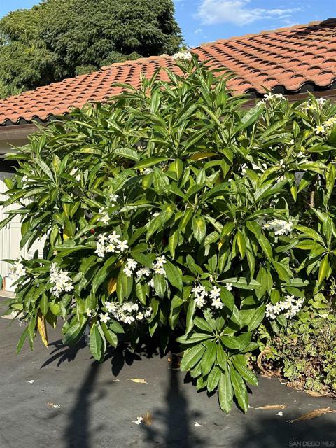 3625 Country Meadow Ln, Escondido CA: https://media.crmls.org/mediaz/fca7896a-93ea-4722-8e65-cd094a2cce02.jpg