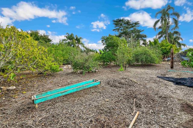 2344 Warmlands Ave, Vista CA: https://media.crmls.org/mediaz/fca97bf6-00c1-4b0f-8112-90c79d499fa2.jpg