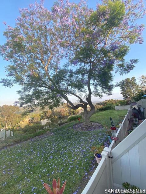108 S Kihridge LN, Encinitas CA: https://media.crmls.org/mediaz/fcc57d8f-eb4e-4311-acbc-c0b99327be18.jpg