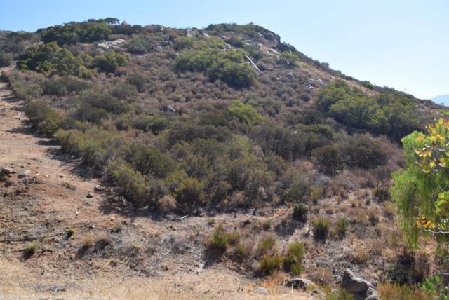 0 Calle Mia, Alpine CA: https://media.crmls.org/mediaz/fcd33a7a-7517-4f67-b7c4-1a04078ad3be.jpg