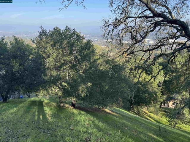 43 Cuesta way, Walnut Creek CA: https://media.crmls.org/mediaz/fcd981e0-21dd-418d-b163-ebc8b853e4a4.jpg